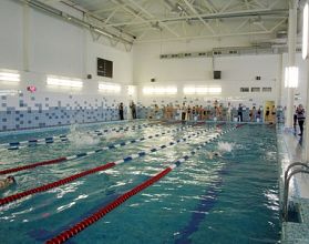             Всероссийский турнир по синхронному плаванию проведут в Нижегородской области